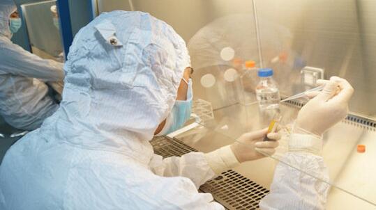 人体樱桃视频色版APP下载