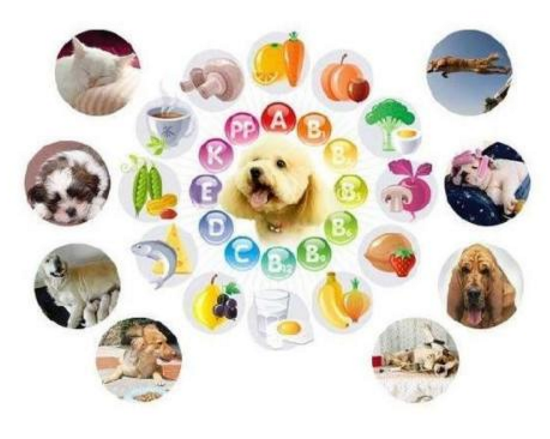 医用樱桃视频色版APP下载的技术水平