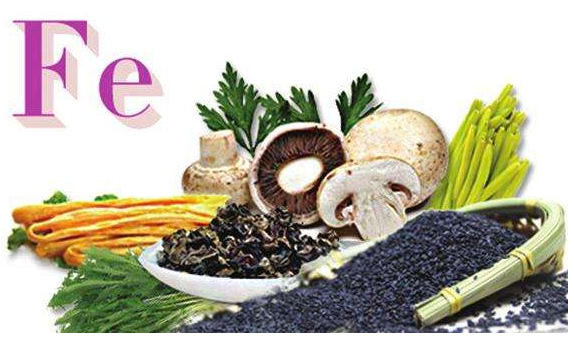 樱桃视频色版APP下载品牌谈铁元素的作用 樱桃视频色版APP下载品牌谈铁元素的作用