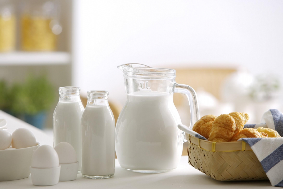 樱桃视频色版APP下载科普补钙不能一“钙”而论