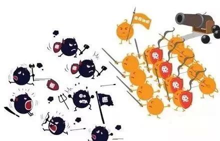 樱桃视频在线播放品牌浅析硒元素对于防癌抗癌的5 项作用