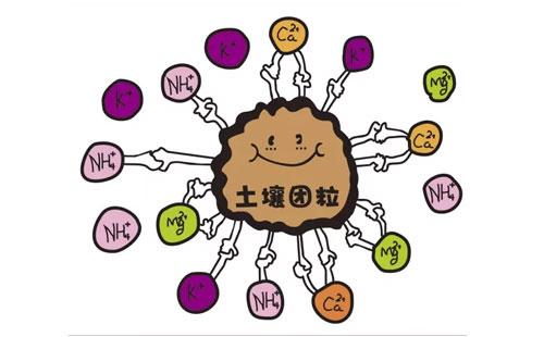 樱桃视频在线播放品牌浅析微量元素与人体衰老的关系