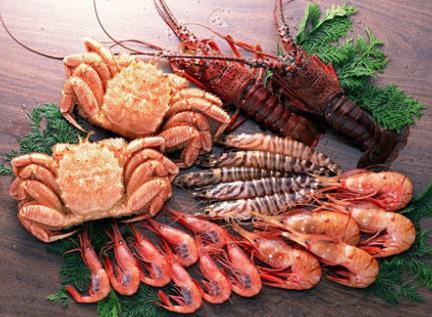 樱桃视频在线播放品牌推荐吃这些食物补充铜元素