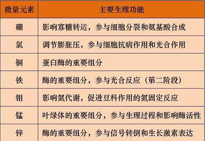 全自动樱桃视频色版APP下载厂家微量元素的对人体的生理作用