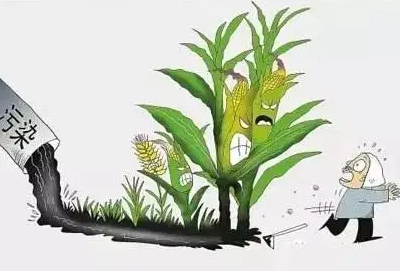 微量元素测试仪科普重金属 微量元素测试仪科普重金属