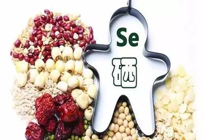 2021/1/26-全自动樱桃视频色版APP下载-国康-人体必需的微量元素 2021/1/26-全自动樱桃视频色版APP下载-国康-人体必需的微量元素